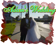 Adam's Wedding ~ Brother, Uncle, Cool Dude